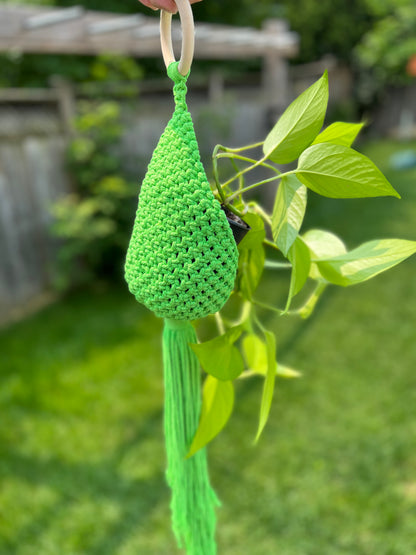 Green Macramé Hanging Nest