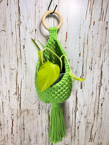 Green Macramé Hanging Nest - Naturenspires