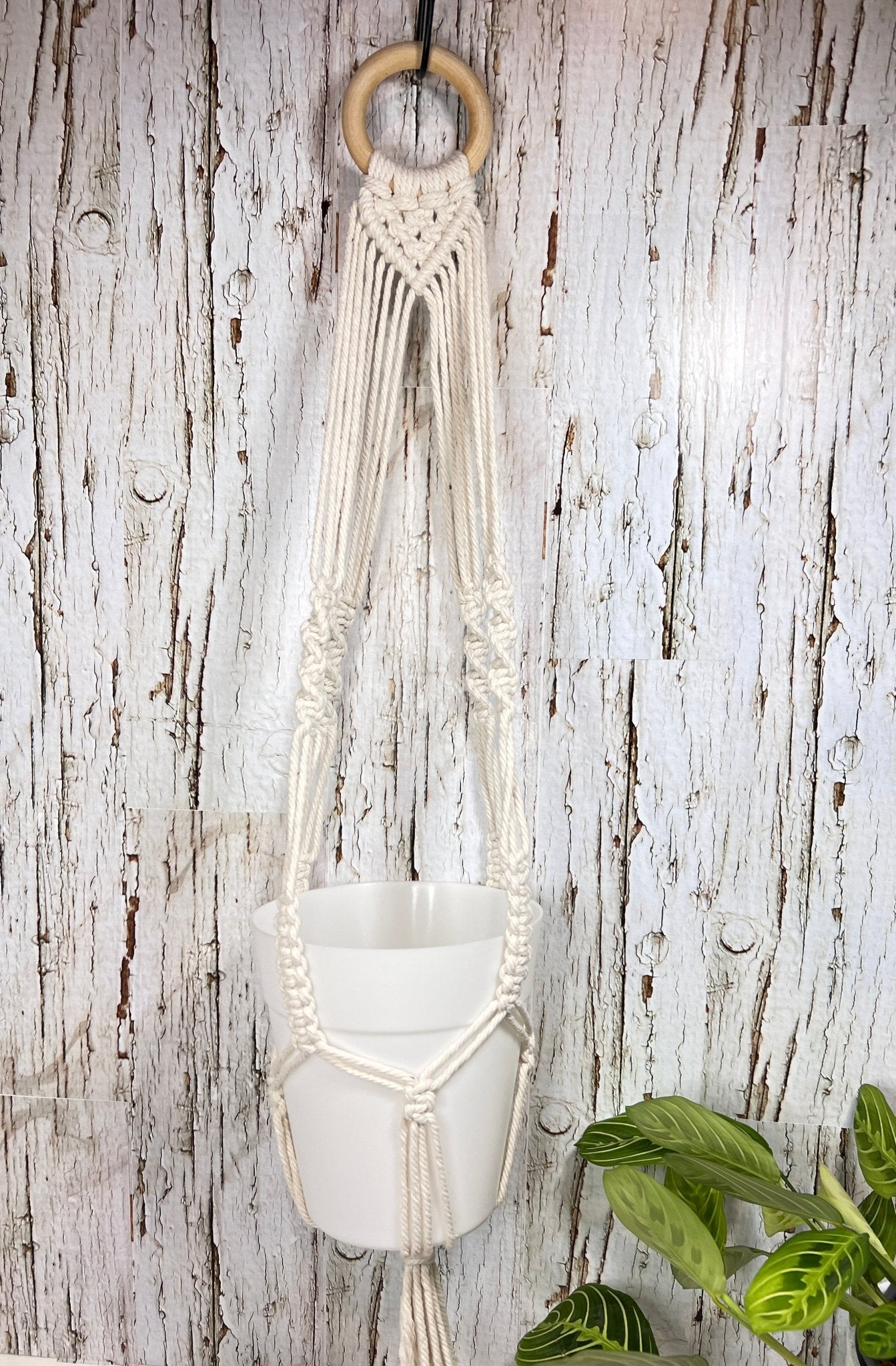 Small Cream Plant Hanger - Naturenspires